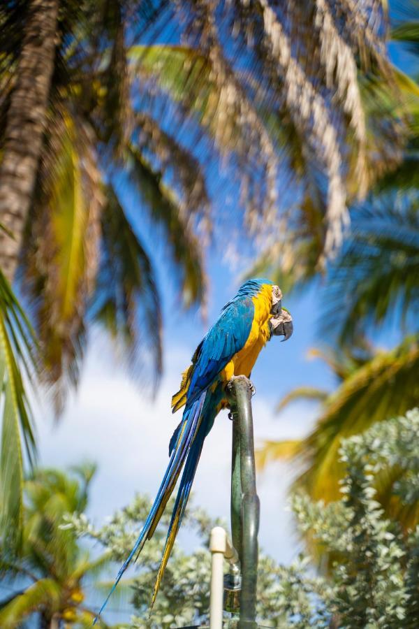 Quinta Del Mar Tintipan Hotel Isla Mucura Ngoại thất bức ảnh